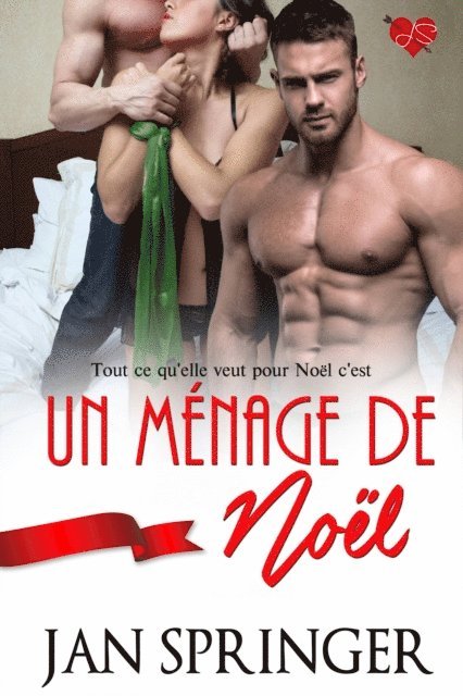 Jan Springer - Un menage de Noel, E-bok