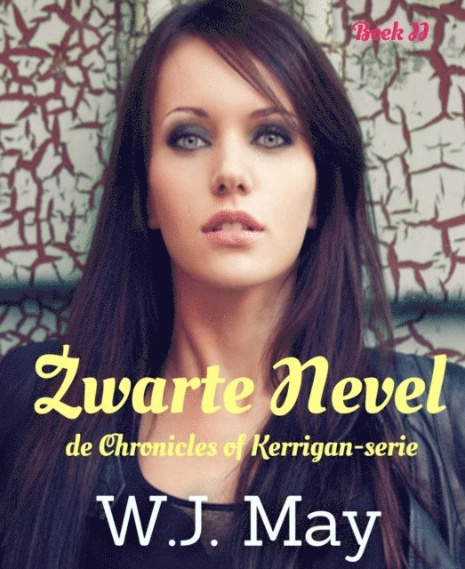 W.J. May - Zwarte Nevel, E-bok