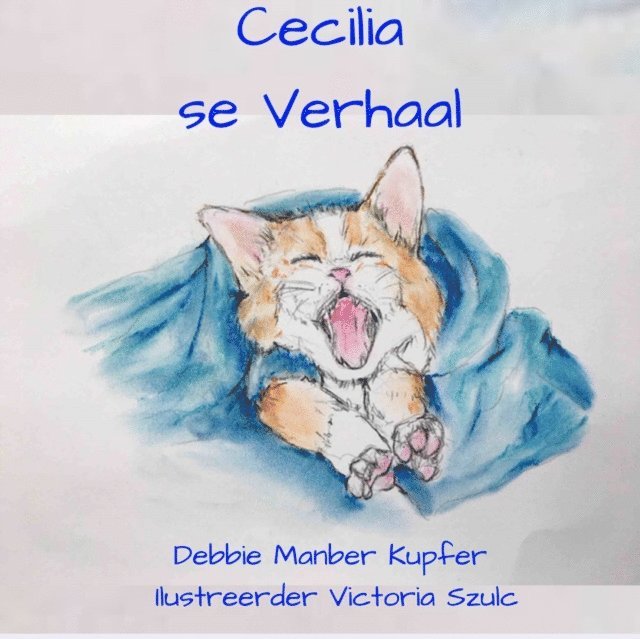 Debbie Manber Kupfer - Cecilia se Verhaal, E-bok