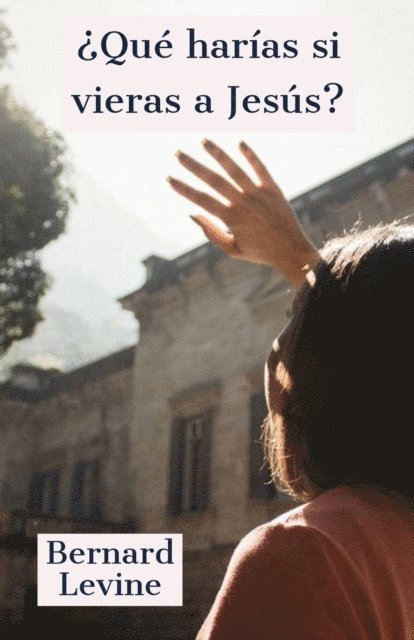 Bernard Levine - ¿Qué harías si vieras a Jesús?, E-bok