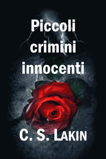 C. S. Lakin - Piccoli crimini innocenti, E-bok