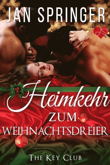 Jan Springer - Heimkehr zum Weihnachtsdreier, E-bok