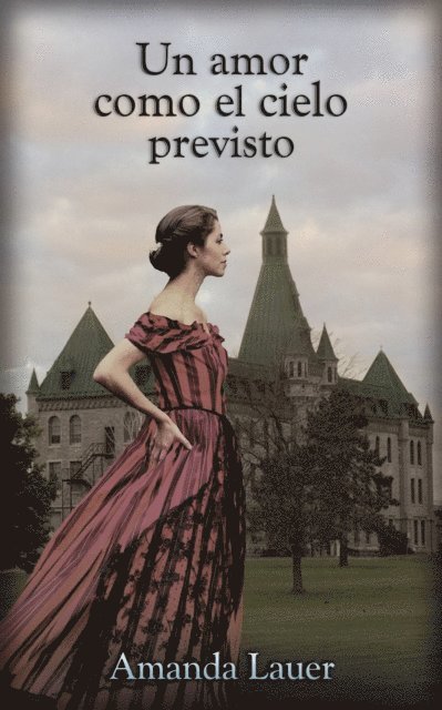 Amanda Lauer - Un amor como el cielo previsto, E-bok