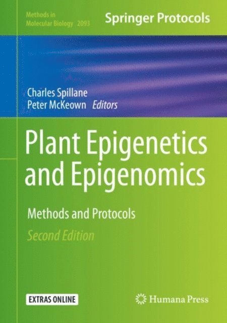 Peter McKeown, Charles Spillane - Plant Epigenetics and Epigenomics, E-bok