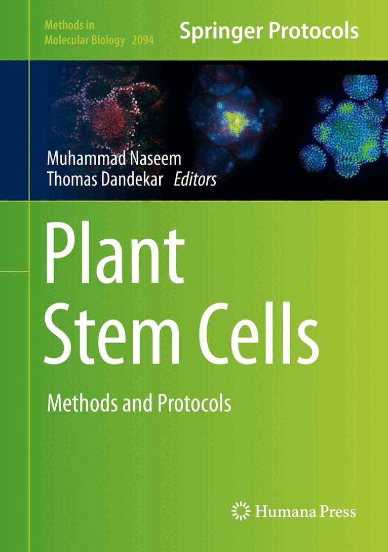 Muhammad Naseem, Thomas Dandekar - Plant Stem Cells, Inbunden