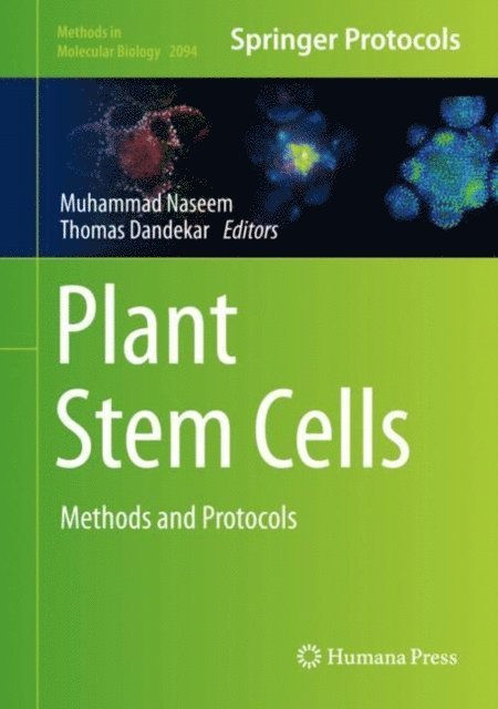 Thomas Dandekar, Muhammad Naseem - Plant Stem Cells, E-bok