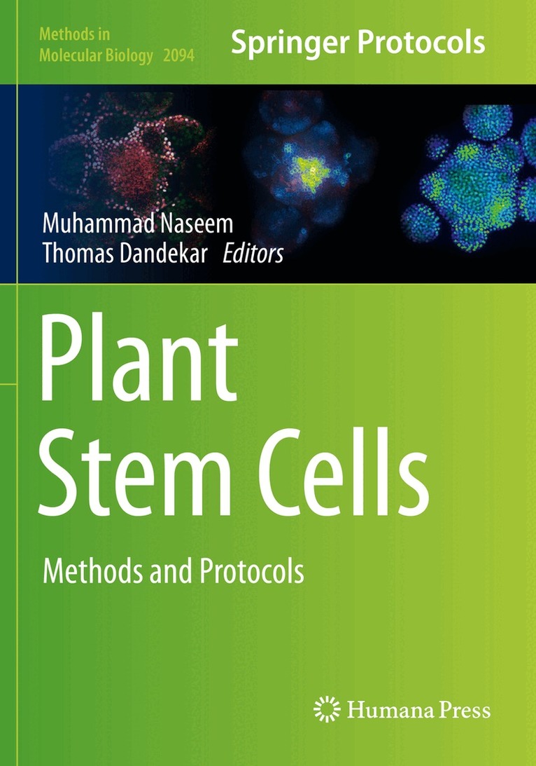 Muhammad Naseem, Thomas Dandekar - Plant Stem Cells, Häftad