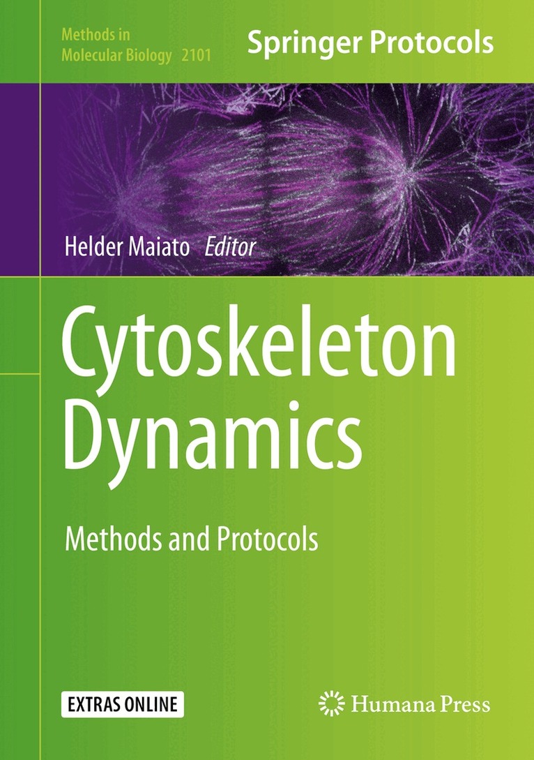 Cytoskeleton Dynamics