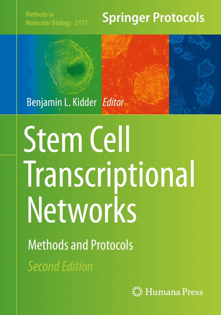 Benjamin L. Kidder - Stem Cell Transcriptional Networks, Inbunden