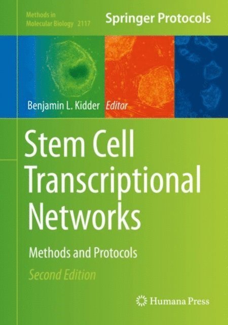 Benjamin L. Kidder - Stem Cell Transcriptional Networks, E-bok
