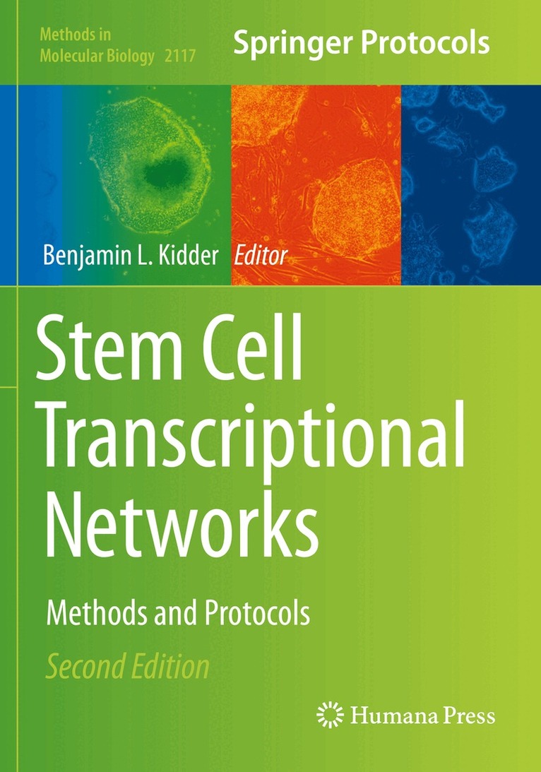 Benjamin L. Kidder - Stem Cell Transcriptional Networks, Häftad