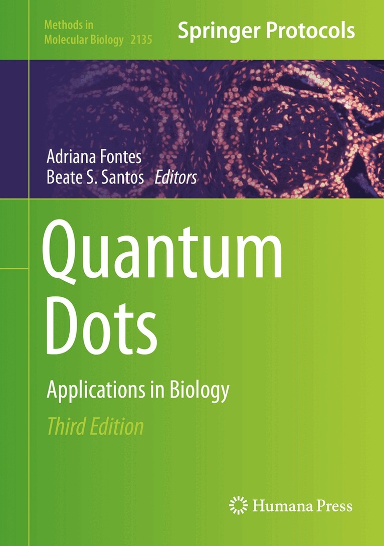 Adriana Fontes, Beate S. Santos - Quantum Dots, Inbunden