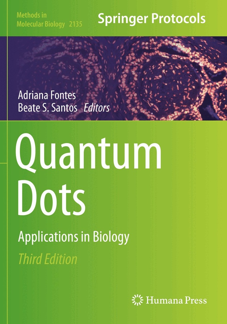 Adriana Fontes, Beate S. Santos - Quantum Dots, Häftad