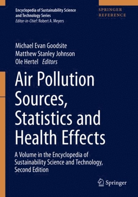 Ole Hertel, Matthew Stanley Johnson, Michael Evan Goodsite - Air Pollution Sources, Statistics and Health Effects, E-bok