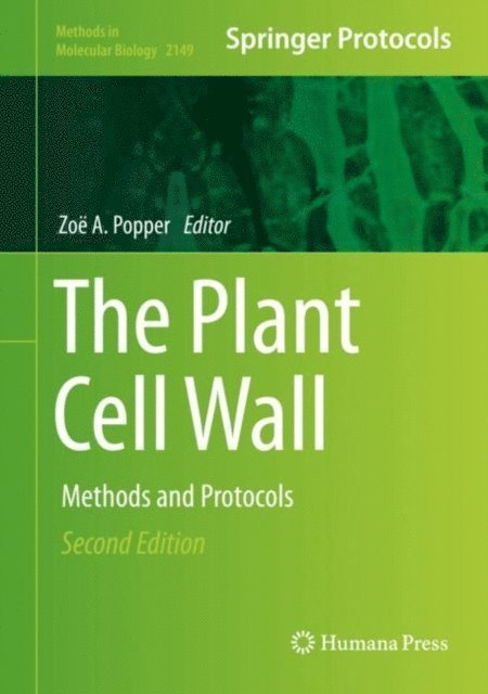 Zoe A. Popper - Plant Cell Wall, E-bok