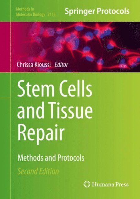 Chrissa Kioussi - Stem Cells and Tissue Repair, E-bok. Tillgänglighet: Lägg i varukorg