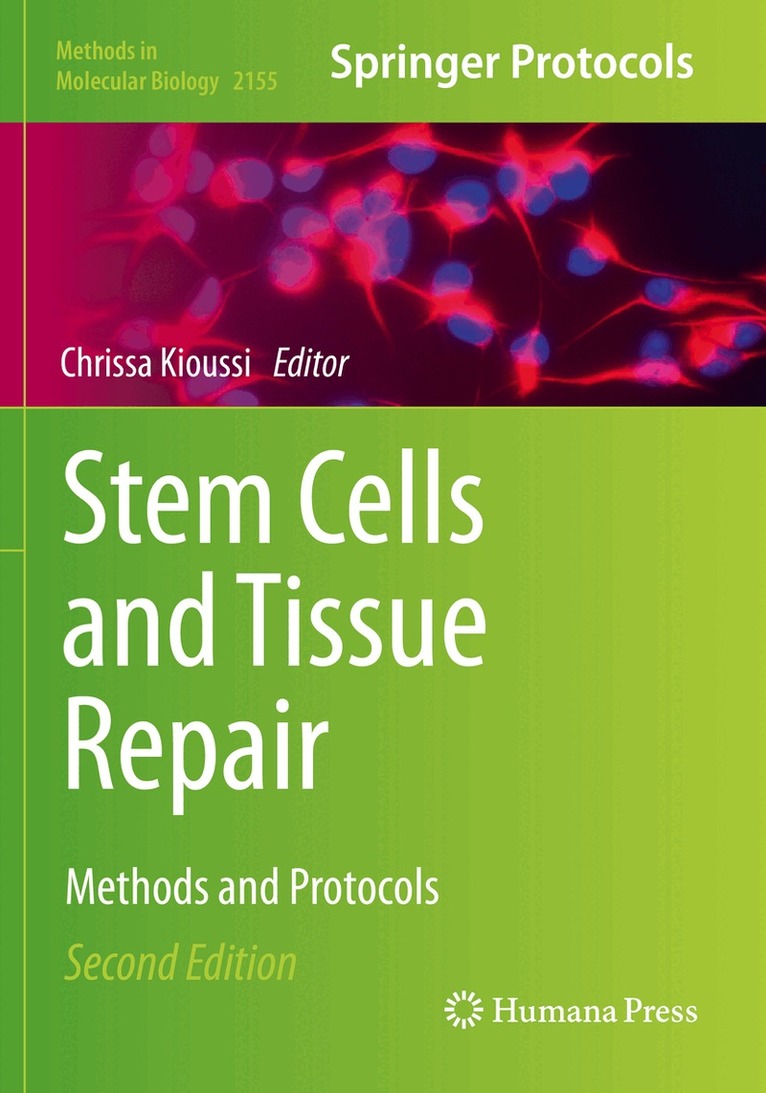Chrissa Kioussi - Stem Cells and Tissue Repair, Häftad