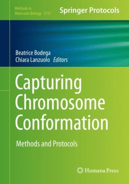 Chiara Lanzuolo, Beatrice Bodega - Capturing Chromosome Conformation, E-bok