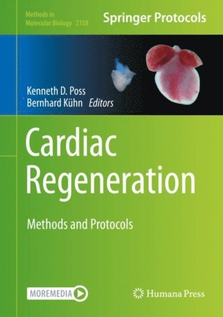 Bernhard Kuhn, Kenneth D. Poss - Cardiac Regeneration, E-bok