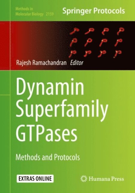 Rajesh Ramachandran - Dynamin Superfamily GTPases, E-bok