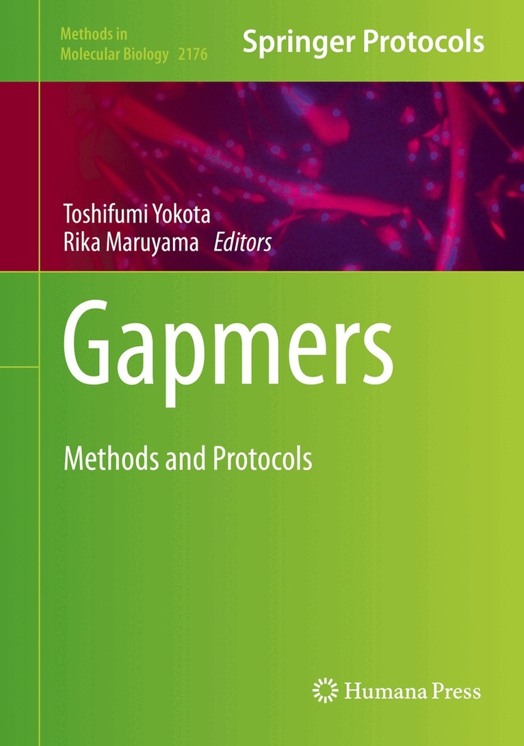 Toshifumi Yokota, Rika Maruyama - Gapmers, Inbunden