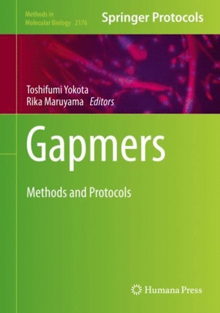 Rika Maruyama, Toshifumi Yokota - Gapmers, E-bok