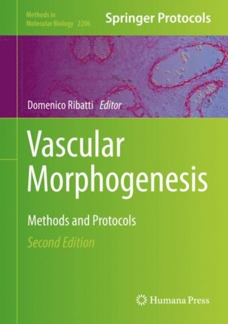 Domenico Ribatti - Vascular Morphogenesis, E-bok