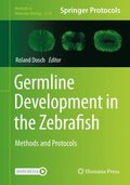 Germline Development in the Zebrafish