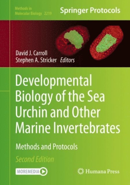 Stephen A. Stricker, David J. Carroll - Developmental Biology of the Sea Urchin and Other Marine Invertebrates, E-bok