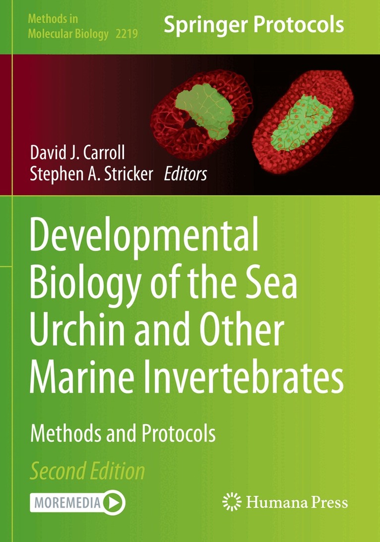 David J. Carroll, Stephen A. Stricker - Developmental Biology of the Sea Urchin and Other Marine Invertebrates, Häftad