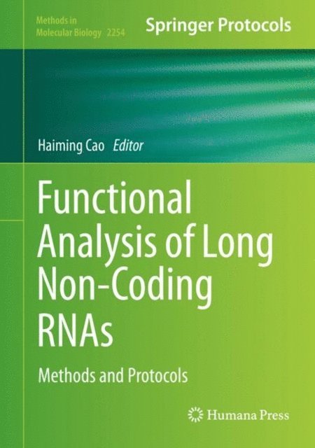Haiming Cao - Functional Analysis of Long Non-Coding RNAs, E-bok
