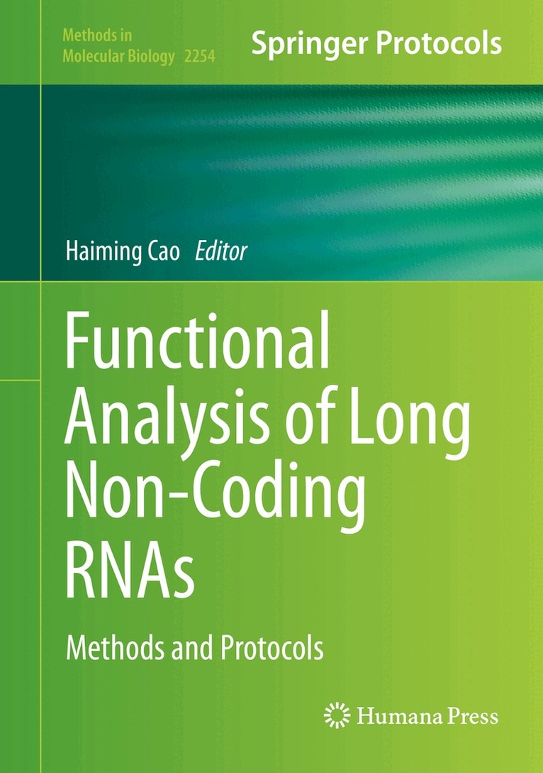 Haiming Cao - Functional Analysis of Long Non-Coding RNAs, Häftad
