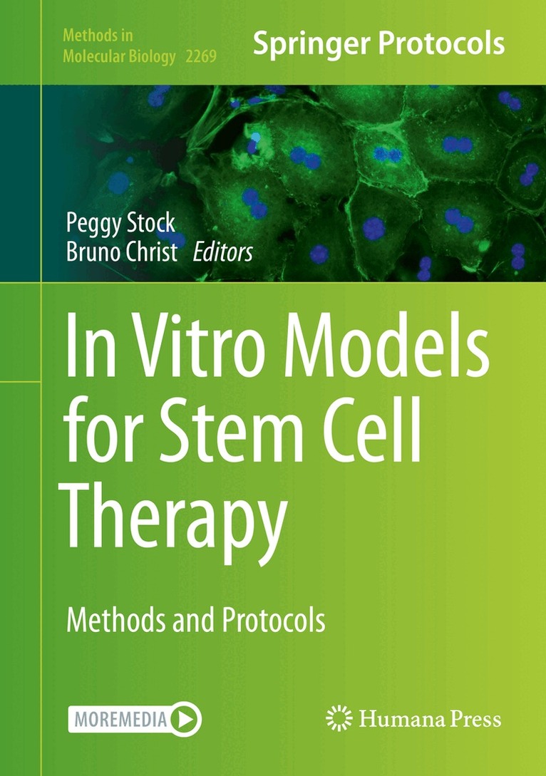 Peggy Stock, Bruno Christ - In Vitro Models for Stem Cell Therapy, Inbunden