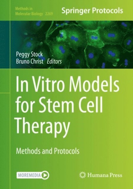 Bruno Christ, Peggy Stock - In Vitro Models for Stem Cell Therapy, E-bok