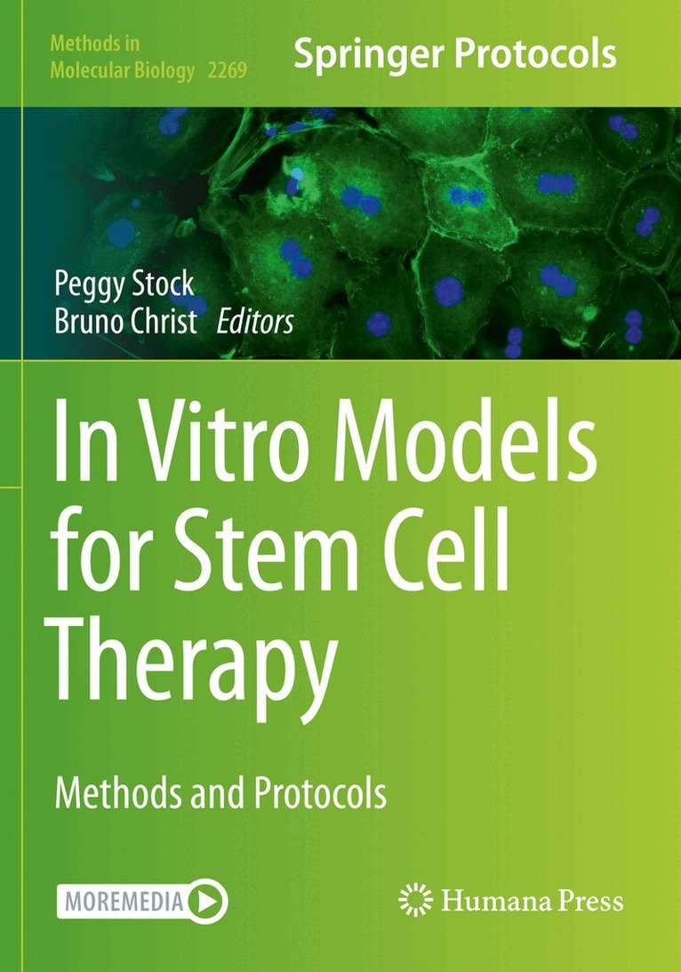 Peggy Stock, Bruno Christ - In Vitro Models for Stem Cell Therapy, Häftad