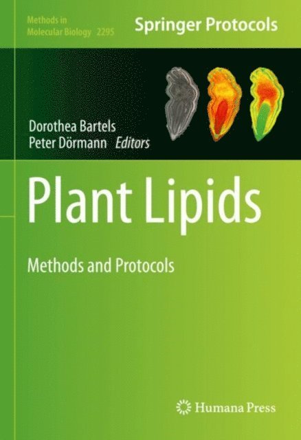 Peter Dormann, Dorothea Bartels - Plant Lipids, E-bok