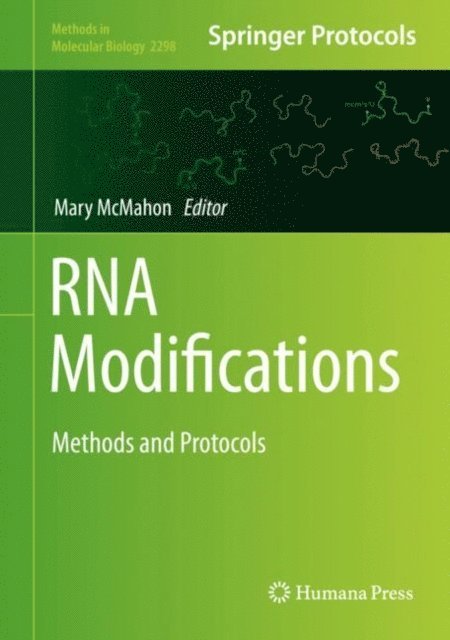 Mary McMahon - RNA Modifications, E-bok