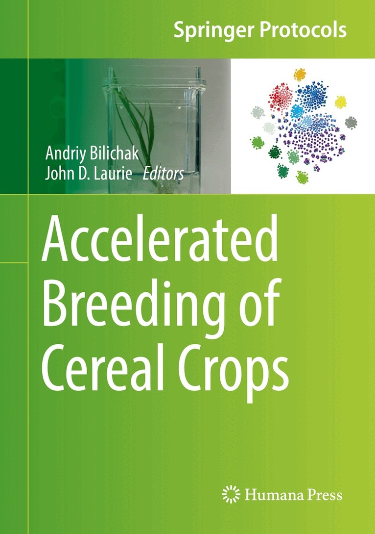 Accelerated Breeding of Cereal Crops