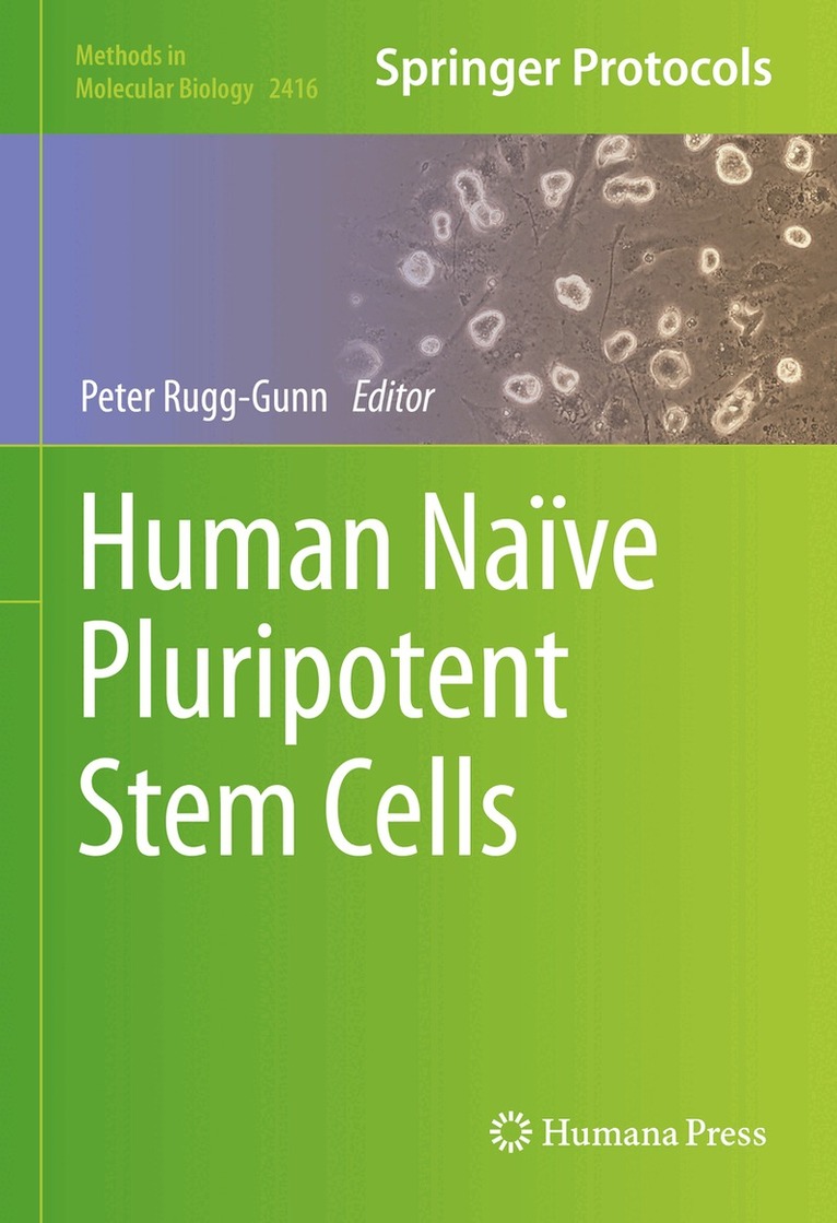 Peter Rugg-Gunn - Human Naïve Pluripotent Stem Cells, Inbunden. Tillgänglighet: Lägg i varukorg