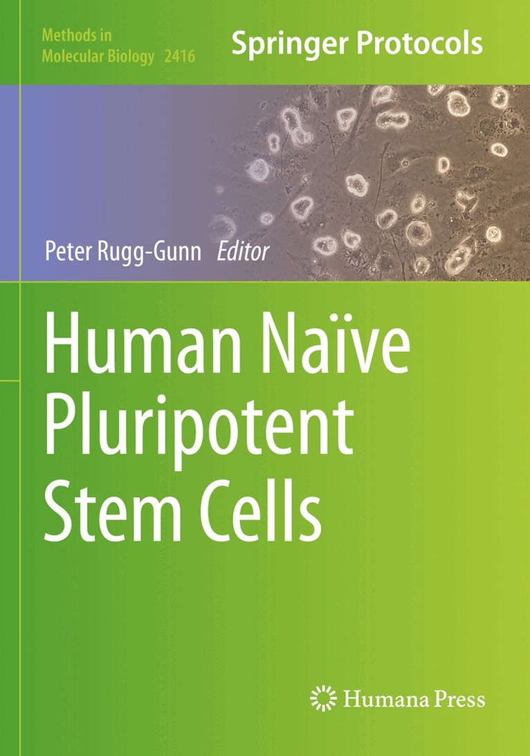 Peter Rugg-Gunn - Human Naïve Pluripotent Stem Cells, Häftad. Tillgänglighet: Lägg i varukorg