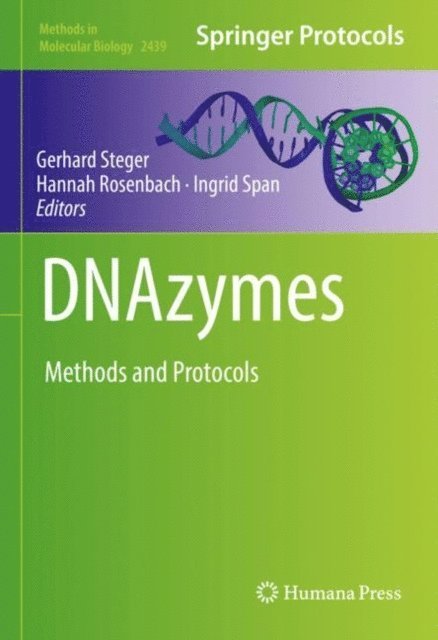 Ingrid Span, Hannah Rosenbach, Gerhard Steger - DNAzymes, E-bok
