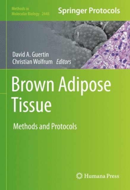 Christian Wolfrum, David A. Guertin - Brown Adipose Tissue, E-bok