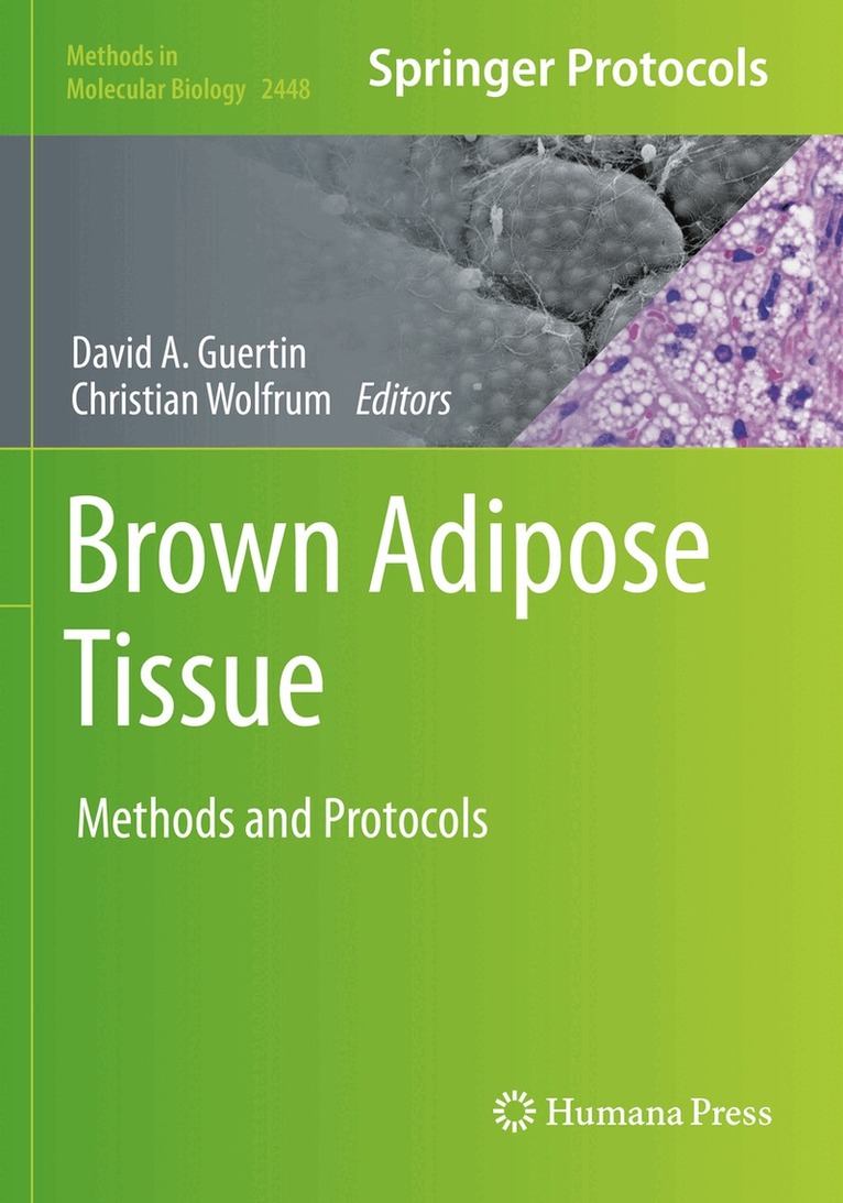 David A. Guertin, Christian Wolfrum - Brown Adipose Tissue, Häftad