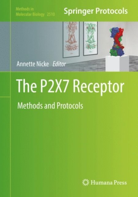 Annette Nicke - P2X7 Receptor, E-bok