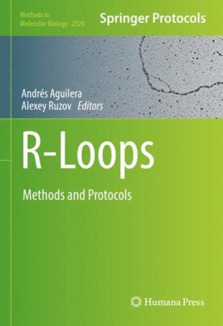Alexey Ruzov, Andres Aguilera - R-Loops, E-bok