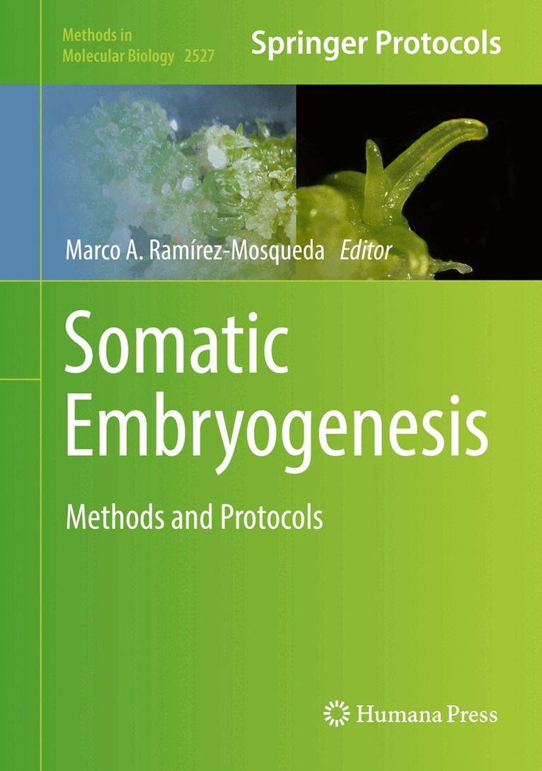 Marco A. Ramírez-Mosqueda - Somatic Embryogenesis, Inbunden