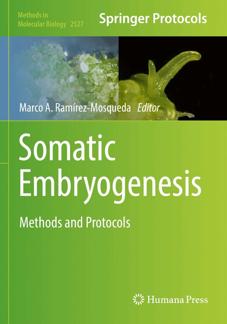 Marco A. Ramírez-Mosqueda - Somatic Embryogenesis, Häftad