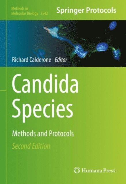 Richard Calderone - Candida Species, E-bok