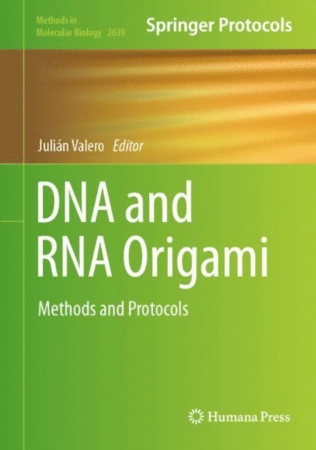 Julian Valero - DNA and RNA Origami, E-bok