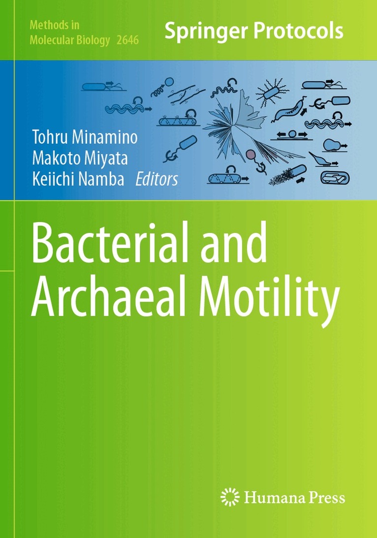 Tohru Minamino, Makoto Miyata, Keiichi Namba - Bacterial and Archaeal Motility, Häftad